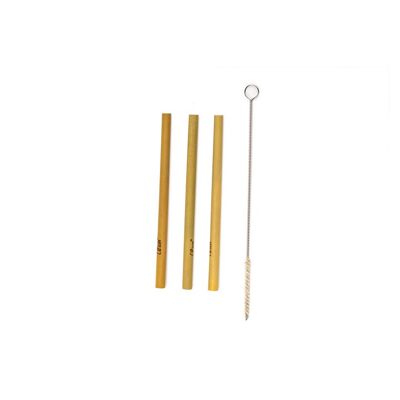 Set of 3 Bamboo Straws and Brush