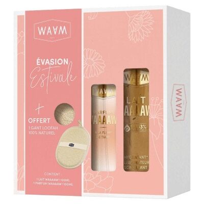 WAAM Cosmetics – Coffret Illuminateur "Évasion Estivale"