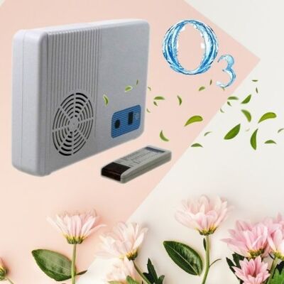 Air 500 ozone generator for environments