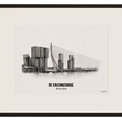 Erasmusbrug - 21X30CM - Douwedraws laat 1 boom planten