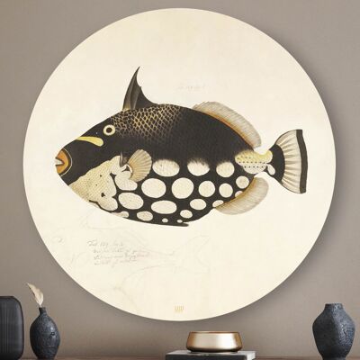 HIP ORGNL® Pesce Nero Tondo - Ø 80 cm