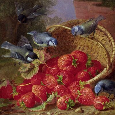 A FEAST OF STRAWBERRIES AND BLUE TITS , 10" x 8"
