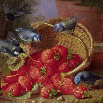 A FEAST OF STRAWBERRIES AND BLUE TITS , 20" x 16"