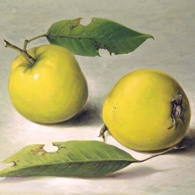 TWO QUINCES , 14" x 11"