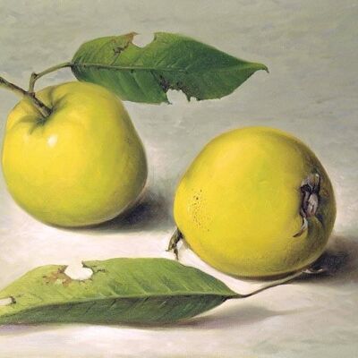 TWO QUINCES , 40" x 30"