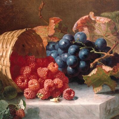 RASPBERRIES IN OVERTURNED BASKET , 14" x 11"