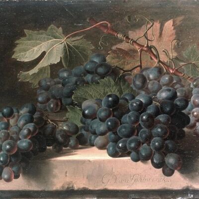 STILL LIFE OF GRAPES ON LEDGE , 20" x 16"