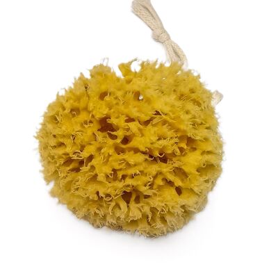 Honeycomb Natural Sea Sponge, Natural Bath Sponge, Unbleached Sea Sponge, Honeycomb Sponge for Shower, Bath Sponge with Rope