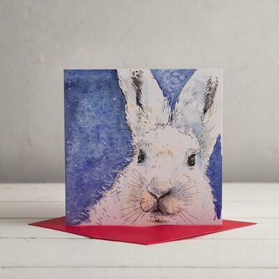 Arctic Hare Christmas Greetings Card