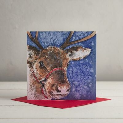 Reindeer Christmas Greetings Card
