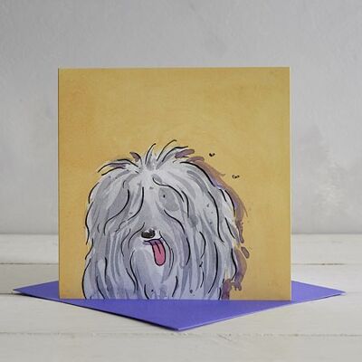 Old English Sheep Dog Greetings Card 'Tim'