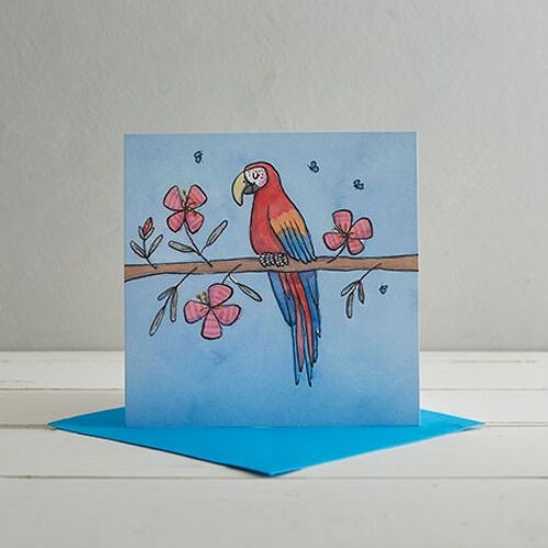 Parrot Greetings Card