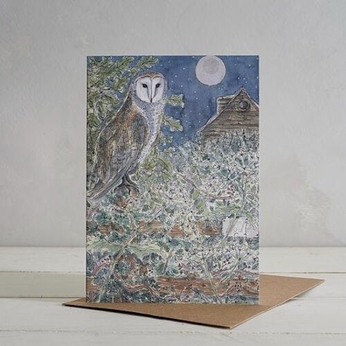 Mr Owl Greetings Card