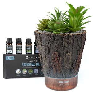 Aroma diff 150ml set cactus