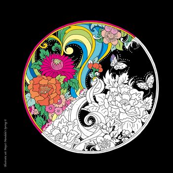 Coloriage par numéro, le Mandala de Masja 5