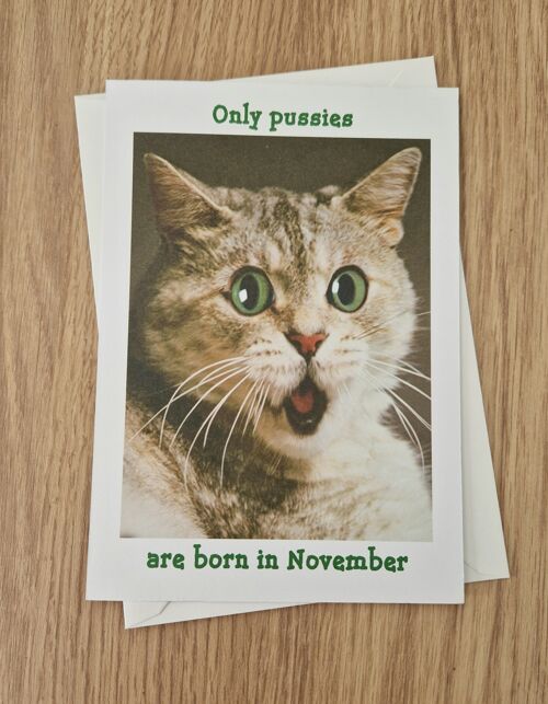 Funny Rude Birthday Card - Only Pussies are born in November