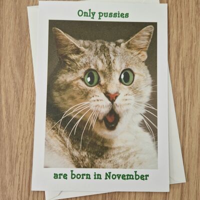 Funny Rude Birthday Card - Only Pussies are born in November