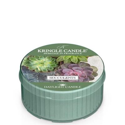 Succulents Daylight scented candle