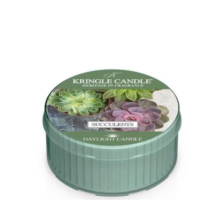 Succulents Daylight scented candle