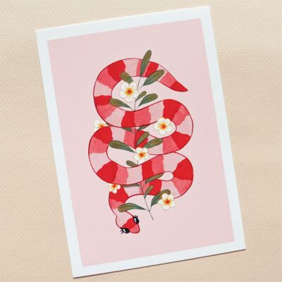 Serpent et Plumerias - Illustration A6
