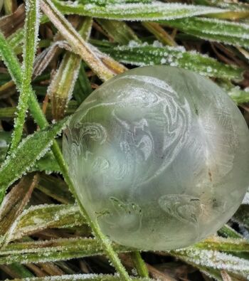 Kit de bulles congelées 10