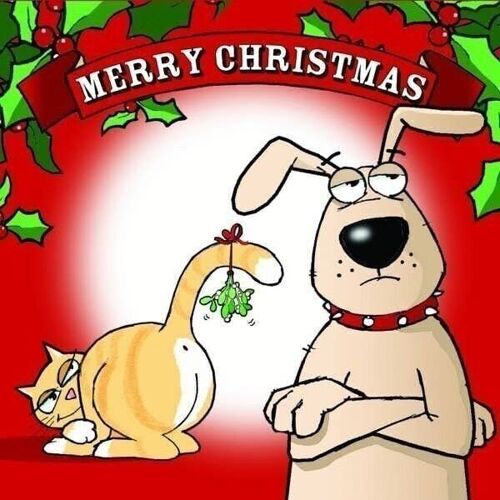 Cat & Dog Mistletoe - Funny Christmas Card