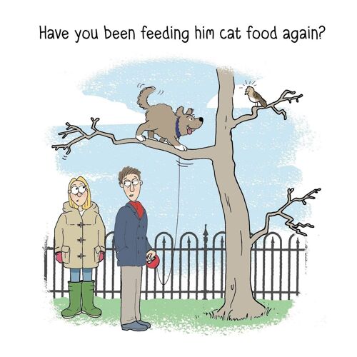 Cat Food