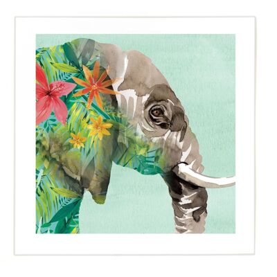 Imprimé éléphant - Grande image - Petite bordure à 2,5 cm