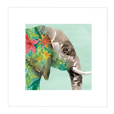 Stampa elefante - Immagine più piccola - Bordo più grande a 5 cm