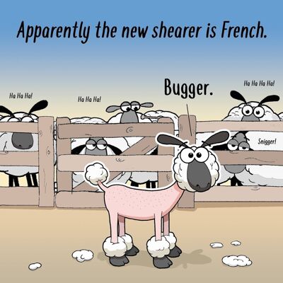 Französischer Shearer - lustige leere Karte