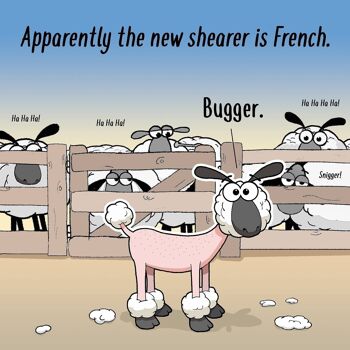 Shearer français - carte vierge drôle