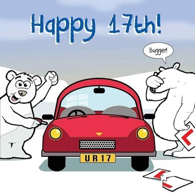 Funny 17th Birthday Card - Funny Teenager Card