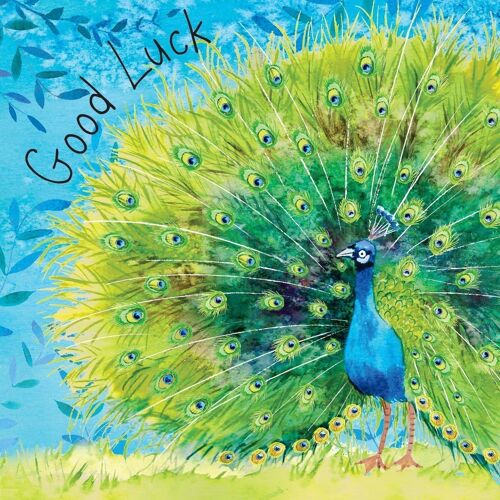 Good Luck Card Peacock