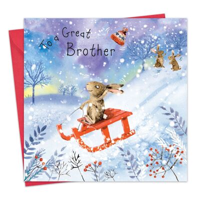 Cartolina di buon Natale del grande fratello