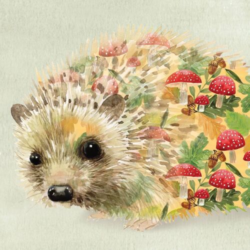Hedgehog Contemporary Greeting Card