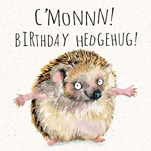 Hedgehug - Funny Birthday Card