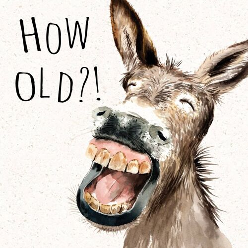 How Old Donkey - Funny Birthday Card