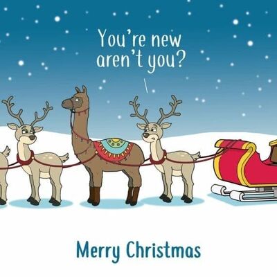 Llama Imposter - Funny Christmas Card