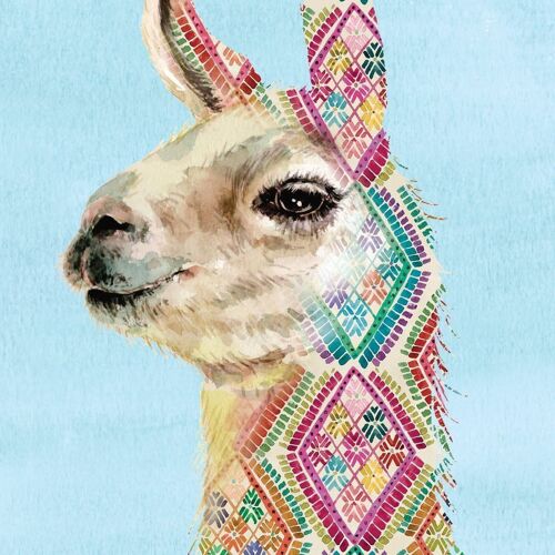 Llama Contemporary Greeting Card