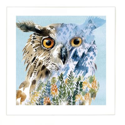 Owl Print - Large Image - Small Border at 2.5cm