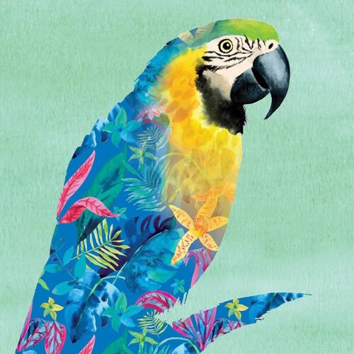 Parrot Contemporary Greeting Card