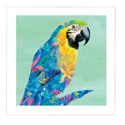 Parrot Print - Large Image - Small Border at 2.5cm