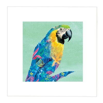 Parrot Print - Smaller Image - Larger Border at 5cm