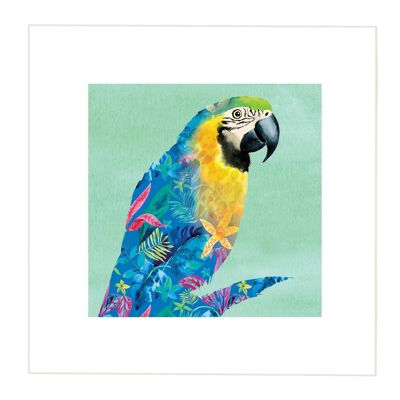 Stampa pappagallo - Immagine più piccola - Bordo più grande a 5 cm