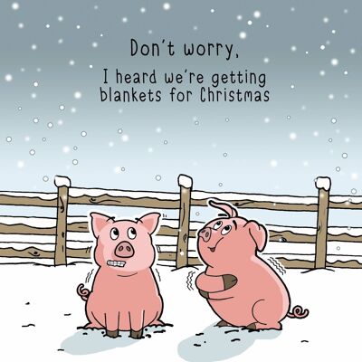 Cochons dans des couvertures - Carte de Noël drôle