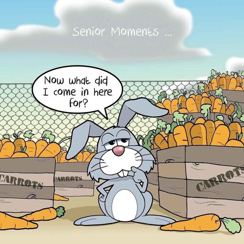 Senior Moments Rabbit - Funny Greeting Card