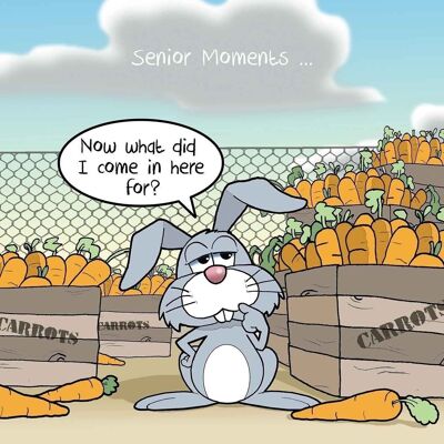 Senior Moments Rabbit - Divertido Tarjetas de felicitación