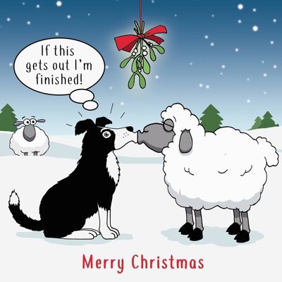 Sheepdog Antics - Funny Christmas Card