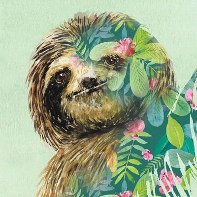 Sloth Contemporary Greeting Card
