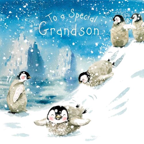 Special Grandson Merry Christmas Card